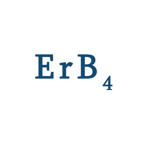 硼化铒 (ErB4)-粉末